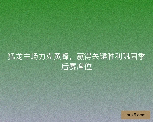 猛龙主场力克黄蜂，赢得关键胜利巩固季后赛席位